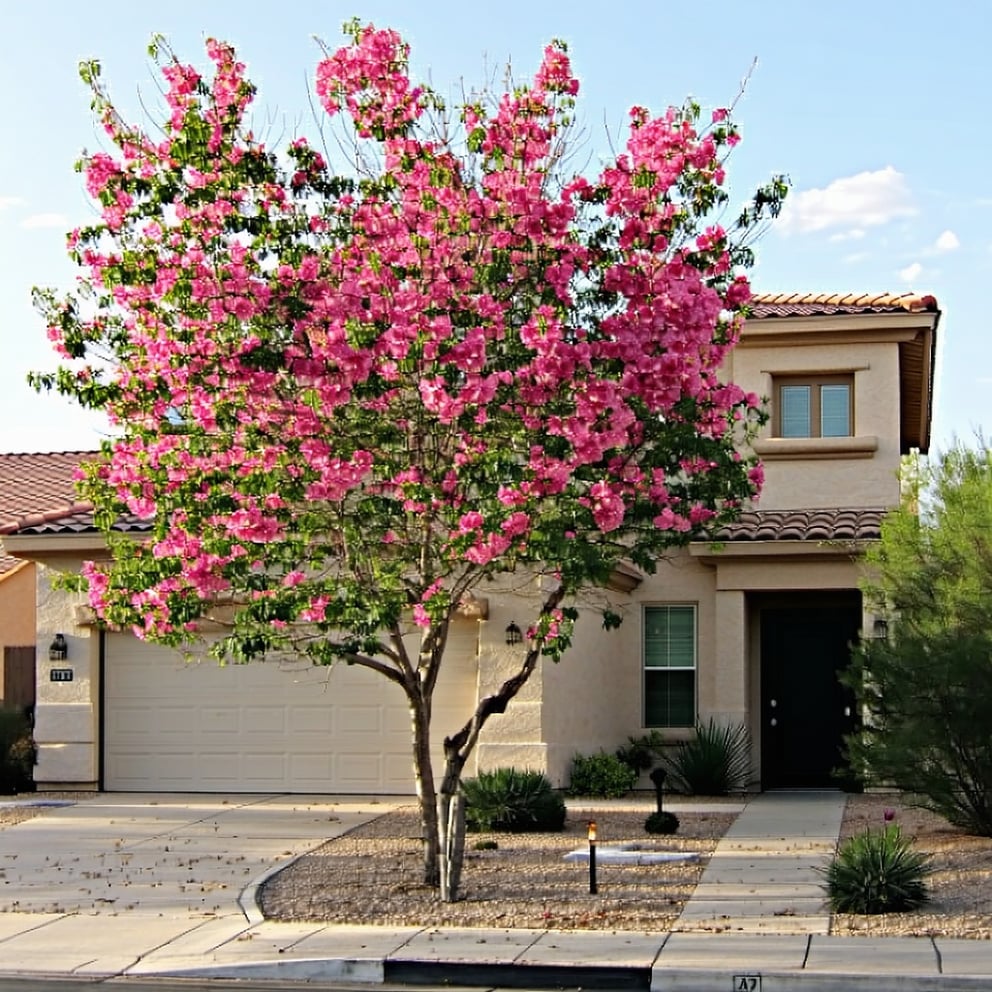 https://21691353.fs1.hubspotusercontent-na1.net/hubfs/21691353/AI-Generated%20Media/Images/arizona%20real%20estate%20blooming%20single%20family.jpeg